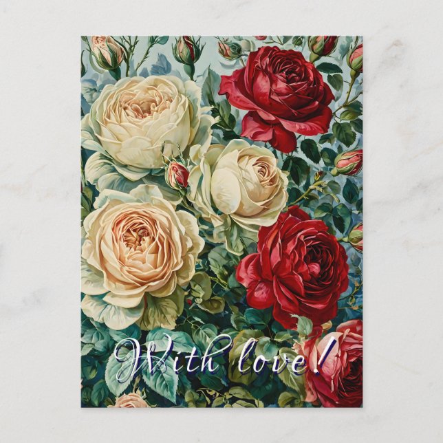 Cartão Postal Esplendor rosa. Buquê floral de rosas. (Frente)