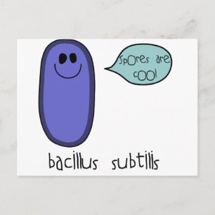 Cartão Postal Esporo