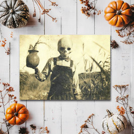 Cartão Postal Esqueleto Antigo Sinistro Milharal Horror Rural