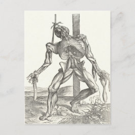 Cartão Postal Esqueleto Cadáver Anatomia Médica