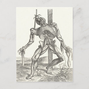 Cartão Postal Esqueleto Cadáver Anatomia Médica