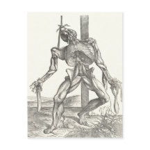 Esqueleto Cadáver Anatomia Médica