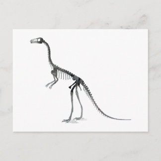 Cartão Postal esqueleto de compsognathus