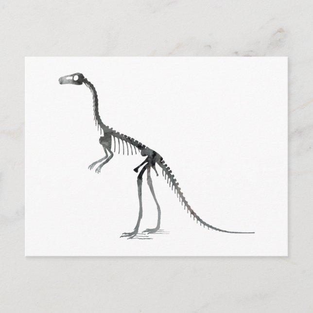 Cartão Postal esqueleto de compsognathus (Frente)