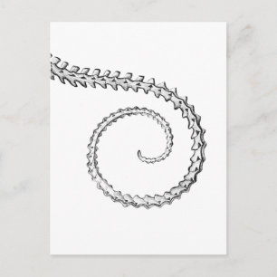 Cartão Postal Esqueleto de lagarto Vintage