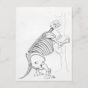 Cartão Postal Esqueleto de um Mylodon