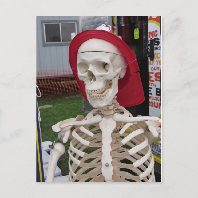 Cartão Postal Esqueleto do monitor (Frente)
