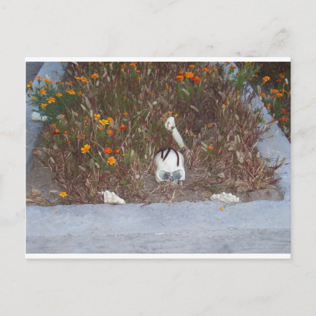 Cartão Postal Esqueleto em Marigolds (Frente)