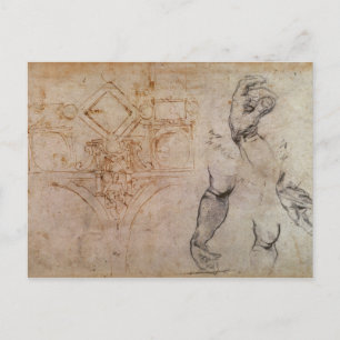 Cartão Postal Esquema para o teto da Capela Sistina, c.1508