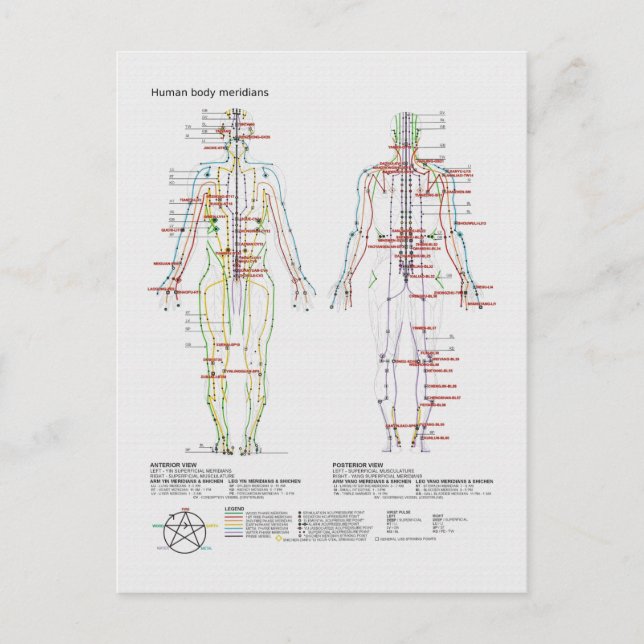 Cartão Postal Esquemática do Corpo Chinês ou Humano dos Meridian (Frente)