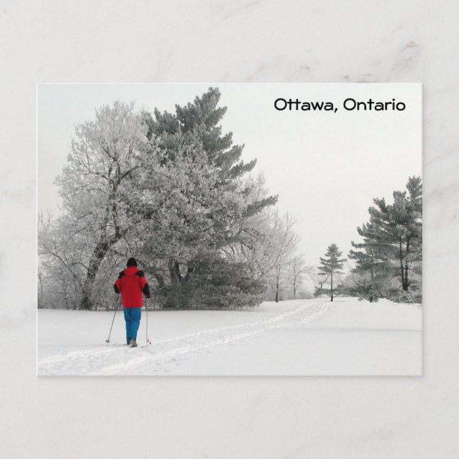 Cartão Postal Esqui Cruzado em um Dia Congelado (Frente)