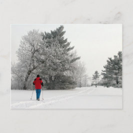 Cartão Postal Esqui Cruzado em um Dia Congelado