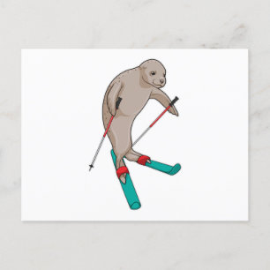 Cartão Postal Esquiador de Foca Esqui