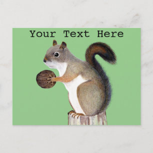 Cartão Postal Esquilo