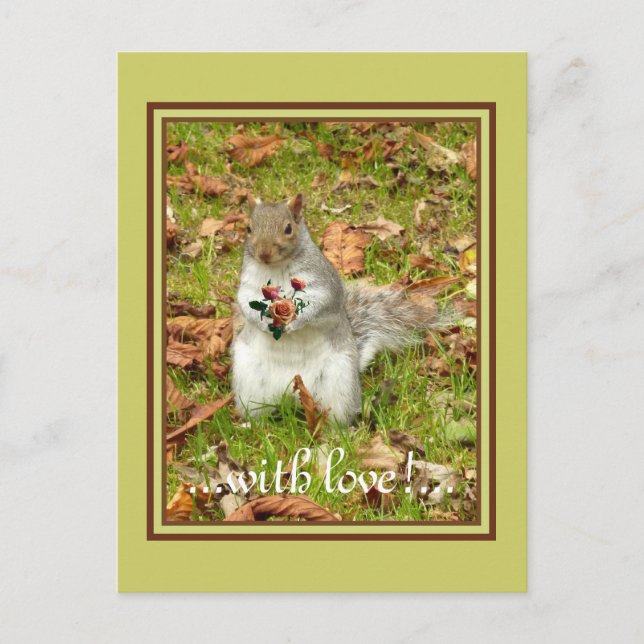 Cartão Postal Esquilo com rosas (Frente)