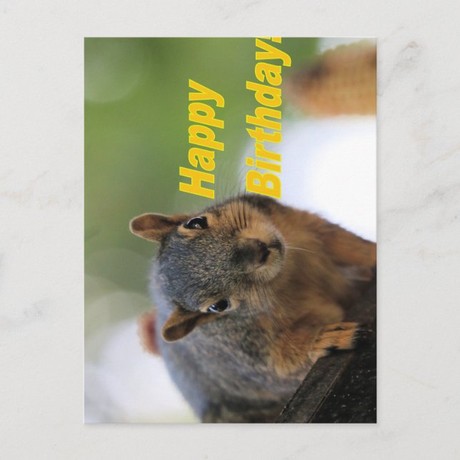 Cartão Postal Esquilo de aniversário  (Frente)
