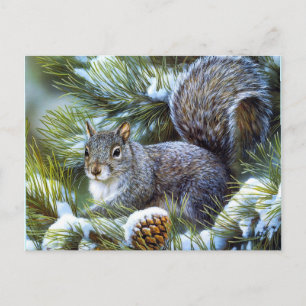 Cartão Postal Esquilo de inverno