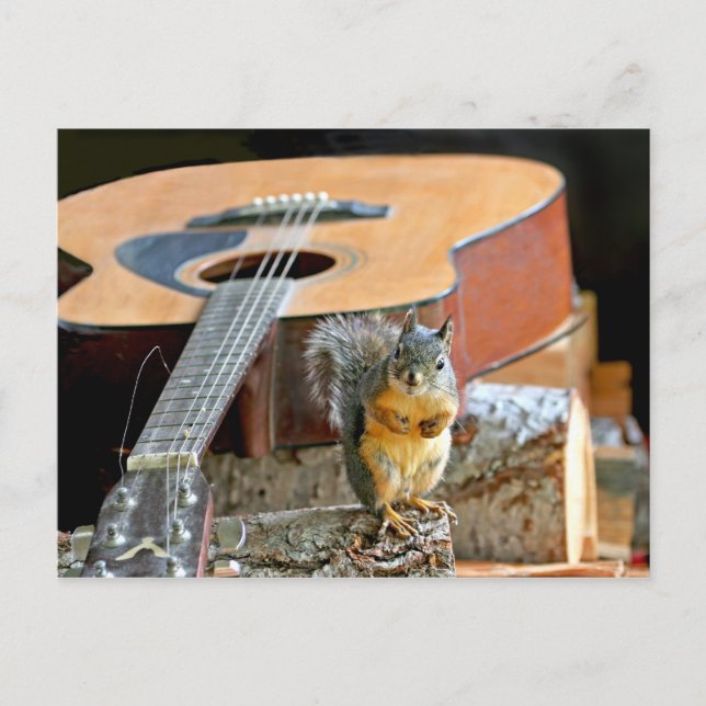 Cartão Postal Esquilo e Violão (Frente)