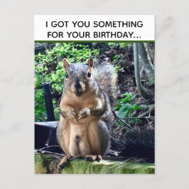 Cartão Postal Esquilo Engraçado Deez Nuts Aniversário Inapropria
