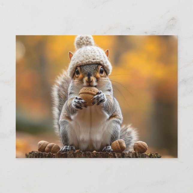 Cartão Postal Esquilo no Knit Hat Holding Nut (Frente)