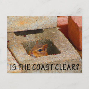 Cartão Postal Esquilo Oculto