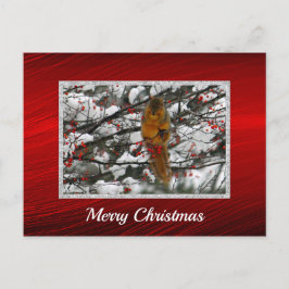 Cartão Postal Esquilo Snow Berry Tree Foto de Natal