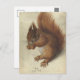 Cartão Postal Esquilo Vermelho | Hans Hoffmann (Frente/Verso)