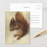 Cartão Postal Esquilo Vermelho | Hans Hoffmann<br><div class="desc">Red Squirrel (1578) por Hans Hoffmann, artista alemão. A arte original é aquarela e guache sobre traços de grafite em vellum. Hoffmann especializou-se em estudos de natureza, muitos deles copiaram de ou com base no trabalho de Albrecht Dürer. Use as ferramentas de design para adicionar texto personalizado ou personalizar a...</div>