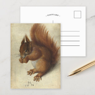 Cartão Postal Esquilo Vermelho   Hans Hoffmann