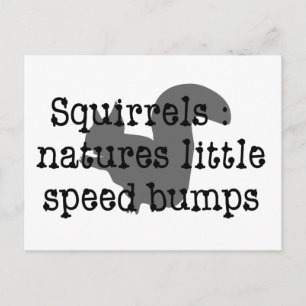 Cartão Postal Esquilos: Natures Little Speedbumps