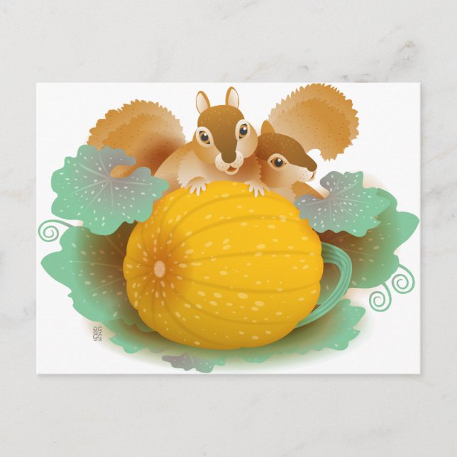 Cartão Postal esquilos no sistema de abóbora (Frente)