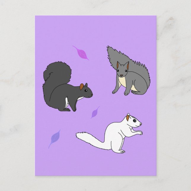 Cartão Postal Esquilos Roxo (Frente)