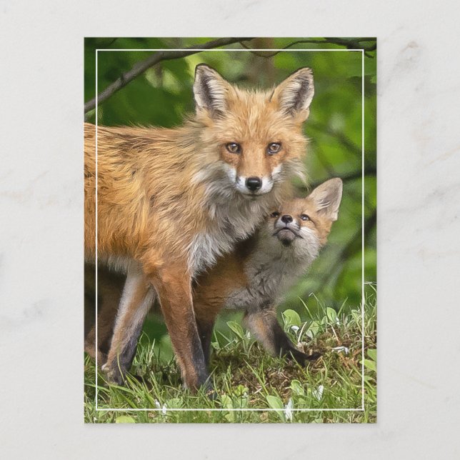 Cartão Postal Esse é o meu Pai (Frente)