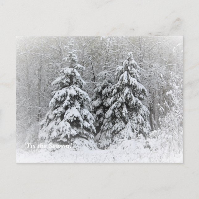 Cartão Postal 'Esta é a estação acima do norte, Mn Winter Holida (Frente)