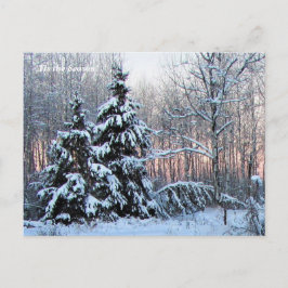 Cartão Postal 'Esta é a estação acima do norte, Mn Winter Holida