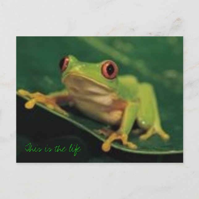 Cartão Postal Esta é a vida (Frente)