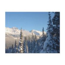 Esta é uma bela foto no Whistler Canada