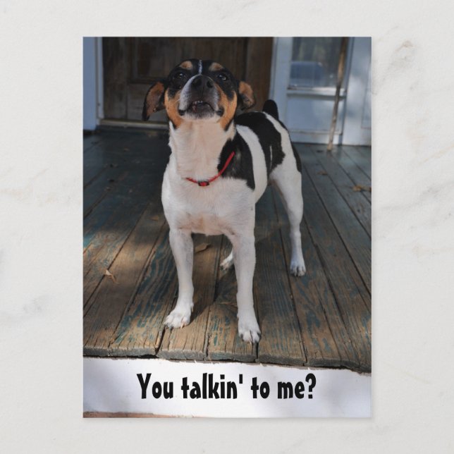 Cartão Postal Está falando comigo? (Frente)