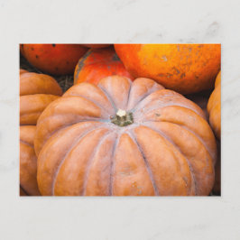 Cartão Postal Estação Pumpkin