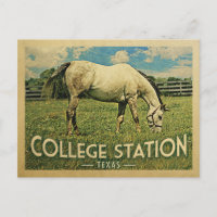Estação Universitária Texas Horse Fazenda - Viagen