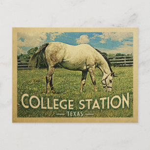 Cartão Postal Estação Universitária Texas Horse Fazenda - Viagen