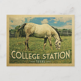 Cartão Postal Estação Universitária Texas Horse Fazenda - Viagen