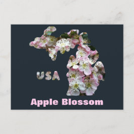 Cartão Postal Estado de Michigan e Blossoms da Apple