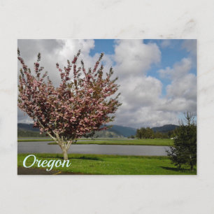 Cartão Postal Estado do Oregon