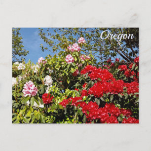 Cartão Postal Estado do Oregon