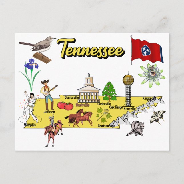 Cartão Postal Estado do Tennessee, EUA (Frente)