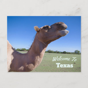 Cartão Postal Estado do Texas