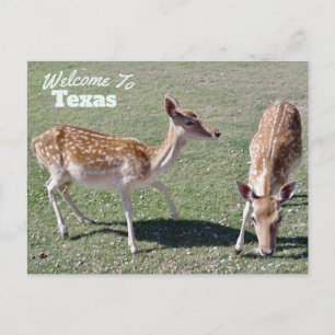 Cartão Postal Estado do Texas