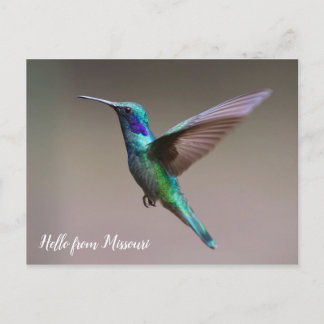Cartão Postal Estado Personalizado de Hummingbird Colorido