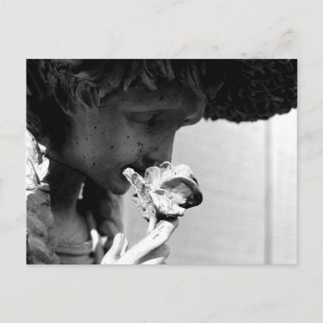 CARTÃO POSTAL ESTADO SEGURANDO UM ROSA (Frente)